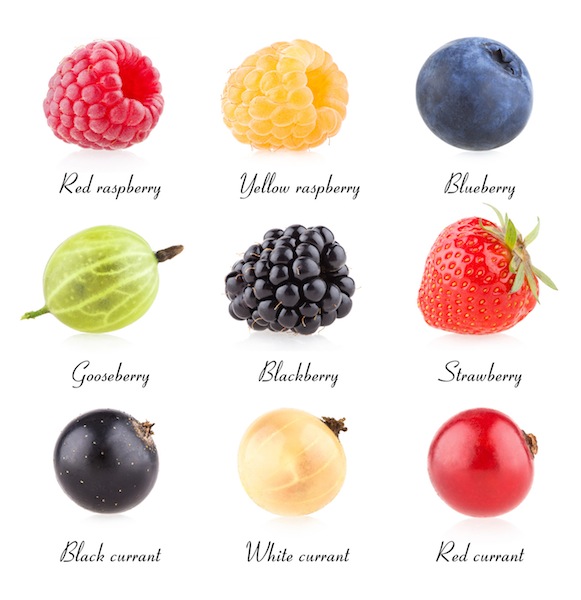 Antioxidant fruits shop