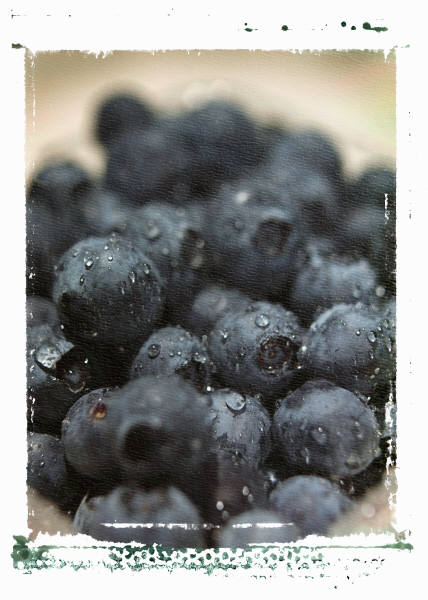 Antioxidant Berries